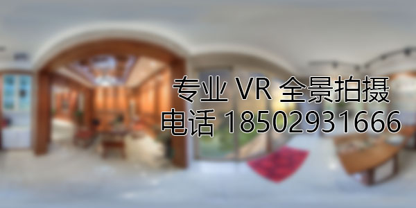 灵川VR全景技术在未来可能的发展方向和应用领域?